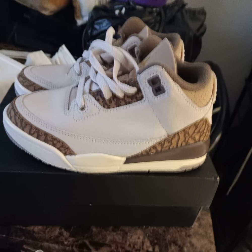 Jordan 3 Retro